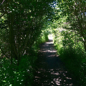 Meet your Posher, Jane